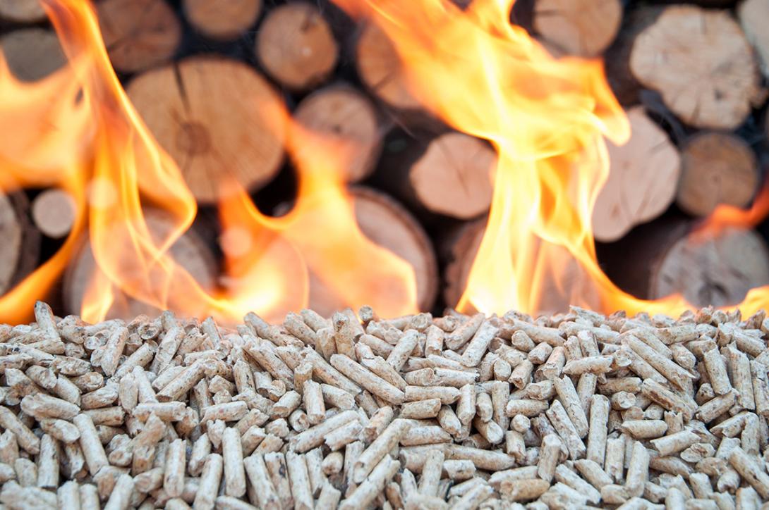 Při spalování biomasy se uvolňuje do ovzduší oxid uhličitý, který rostlina během svého růstu z ovzduší přijala (Zdroj: © tchara / stock.adobe.com)