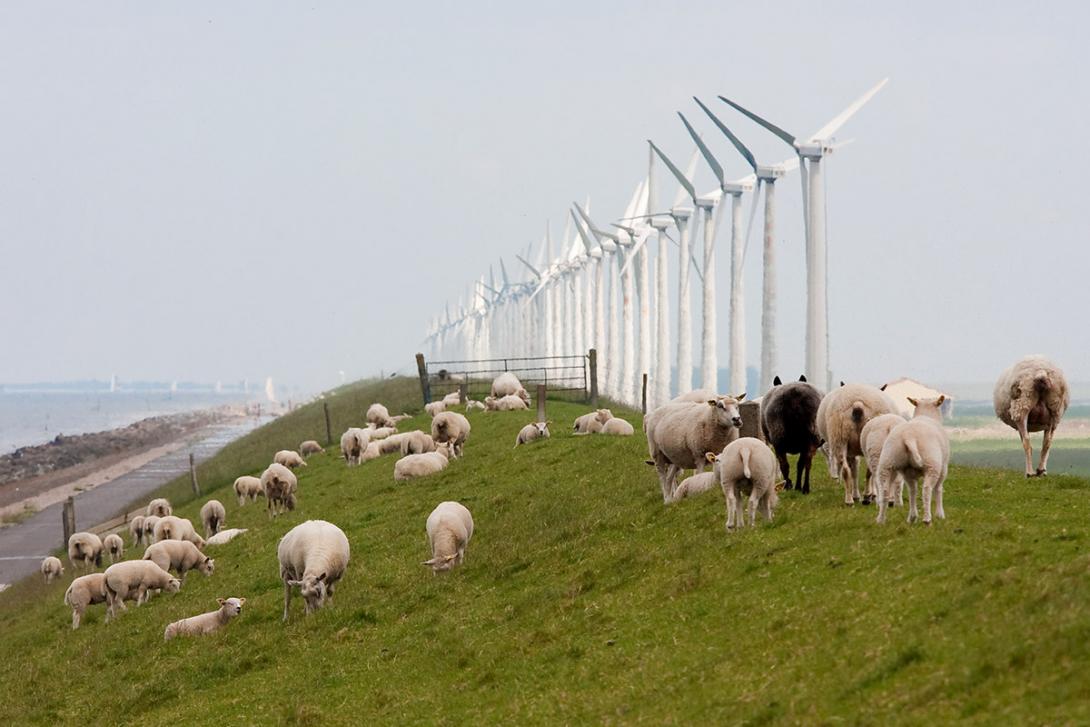Výzkumy prokázaly, že větrné elektrárny nemají žádný vliv na rušení zvěře (Zdroj: © Kruwt / stock.adobe.com)