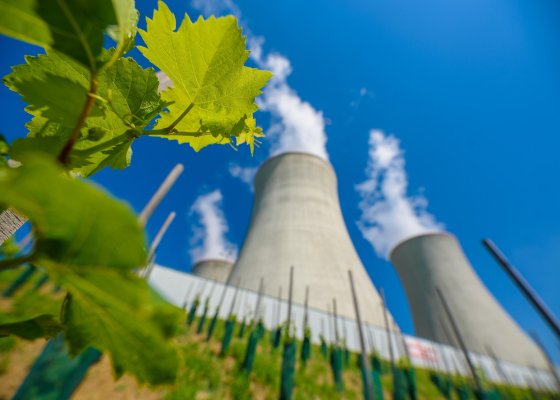 U Jaderné elektrárny Dukovany roste největší jaderná vinice