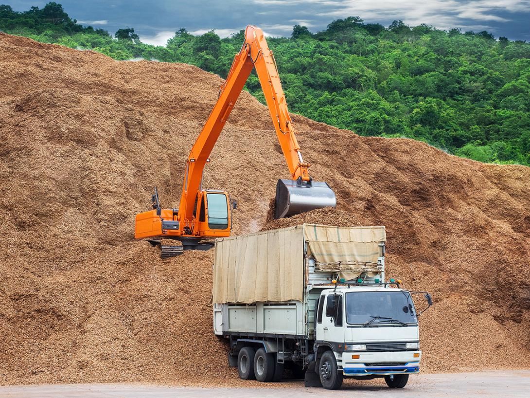 Doprava spalitelné biomasy od zdroje do elektrárny tvoří nezanedbatelnou položku v nákladech na výrobu elektřiny (Zdroj: © Amarinj / stock.adobe.com)
