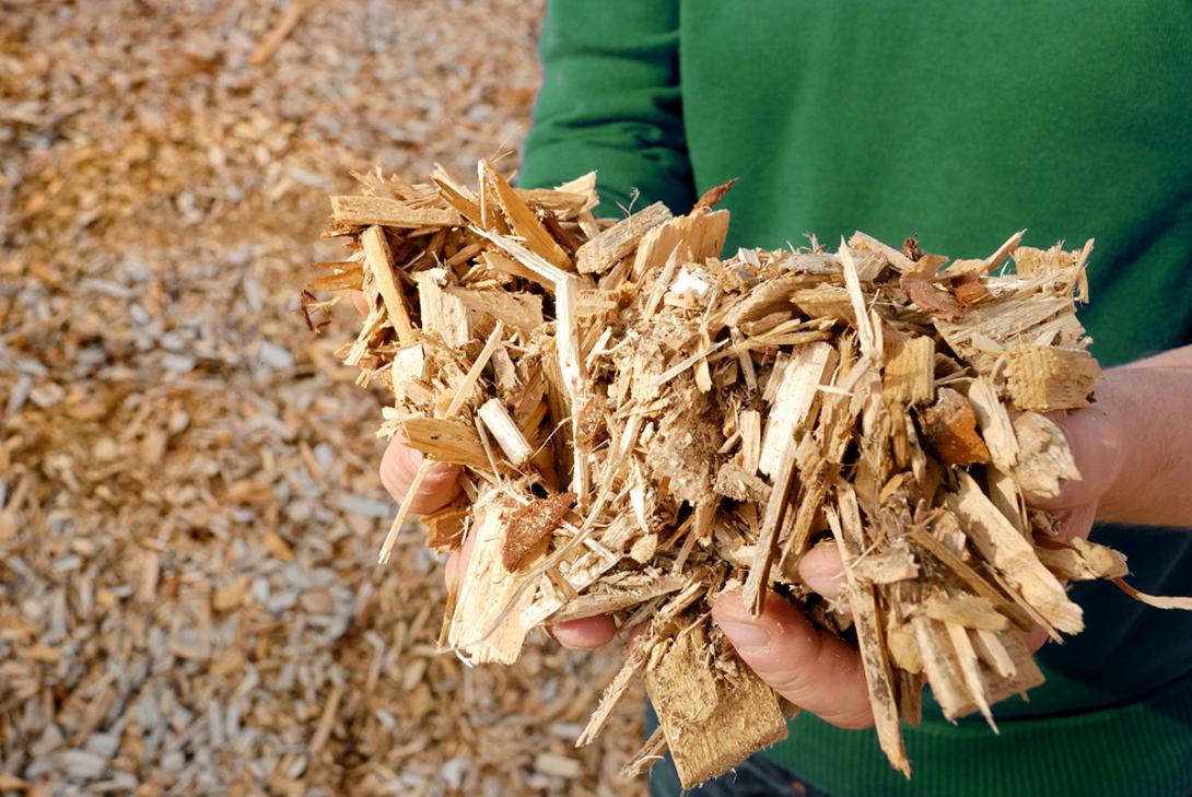 Rostlinná biomasa má velký energetický potenciál a tvoří významný energetický zdroj (Zdroj: © Gerhard Seybert / stock.adobe.com)