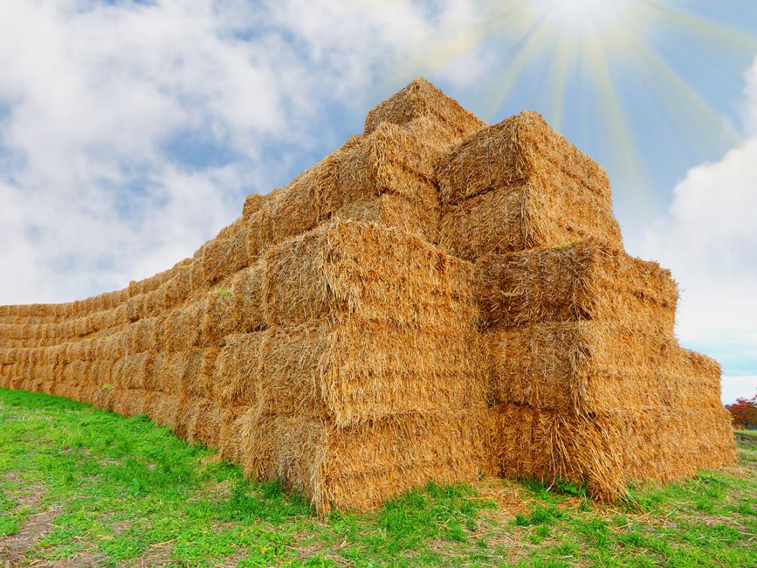 Zásoba biomasy ve formě slámových balíků na poli (Zdroj: © Kletr / stock.adobe.com)