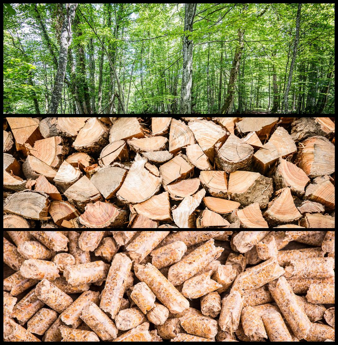 Zušlechtění dřevní biomasy do formy pelet pro automatické kotle (Zdroj: © UMB-O / stock.adobe.com)
