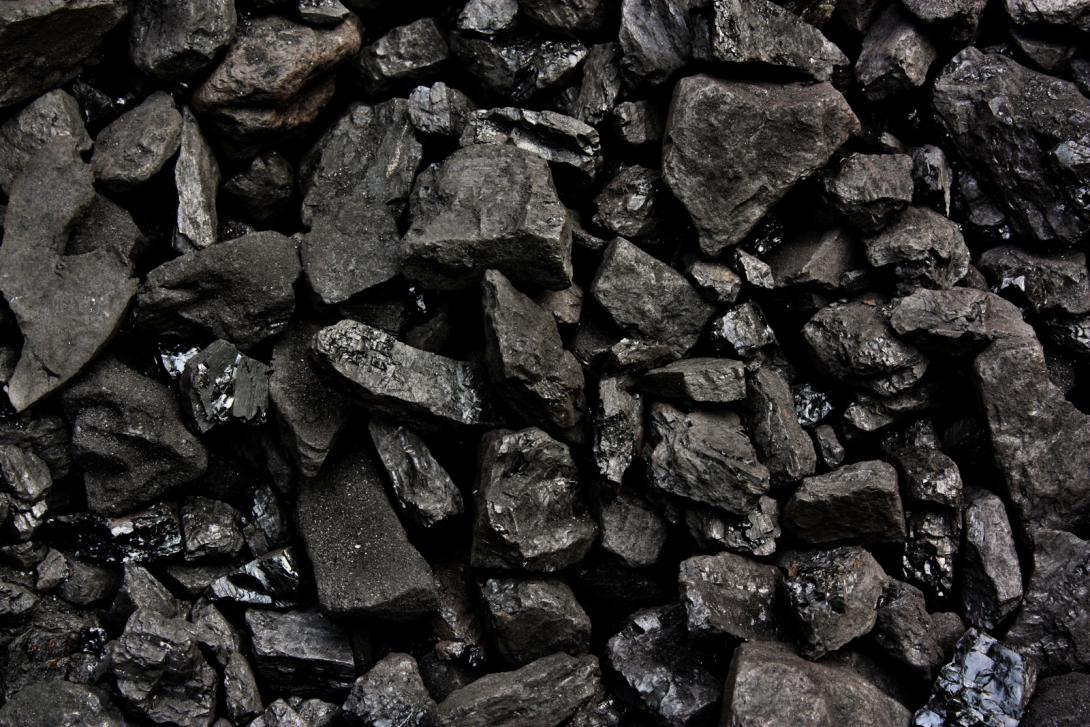 Uhelné sloje vznikaly v průběhu stovek milionů let procesem karbonizace rostlinných těl (Zdroj: Adam J / Shutterstock.com)