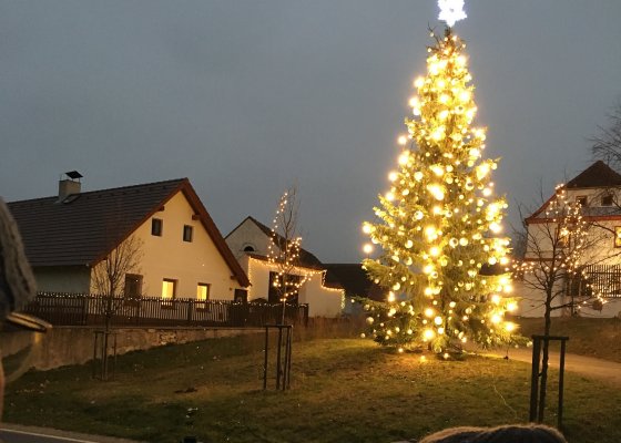 ČEZ rozsvítí vánoční stromy po celé zemi