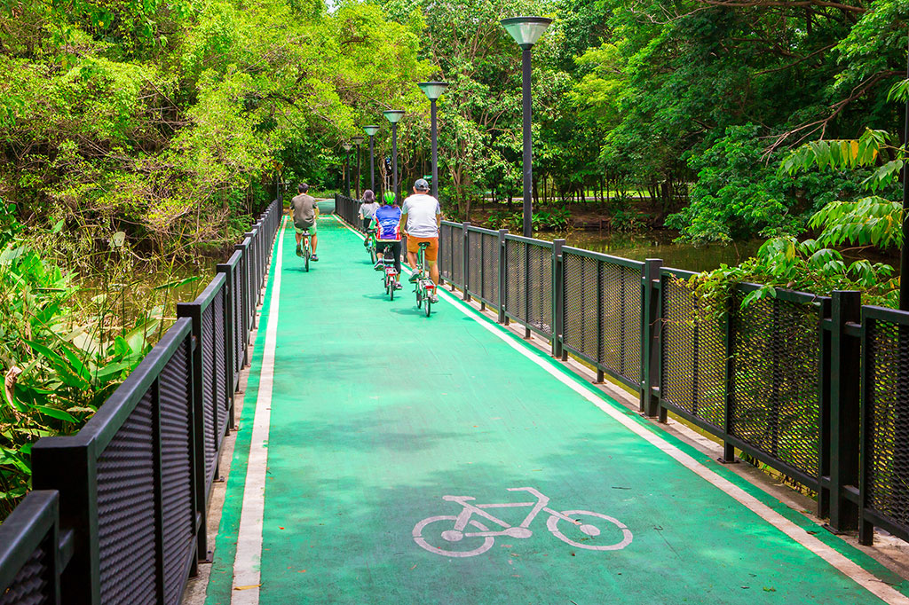 Osvětlená zelená cyklostezka procházející městským parkem zaručuje cyklistům bezpečnost (Zdroj: © titipong8176734 / stock.adobe.com)