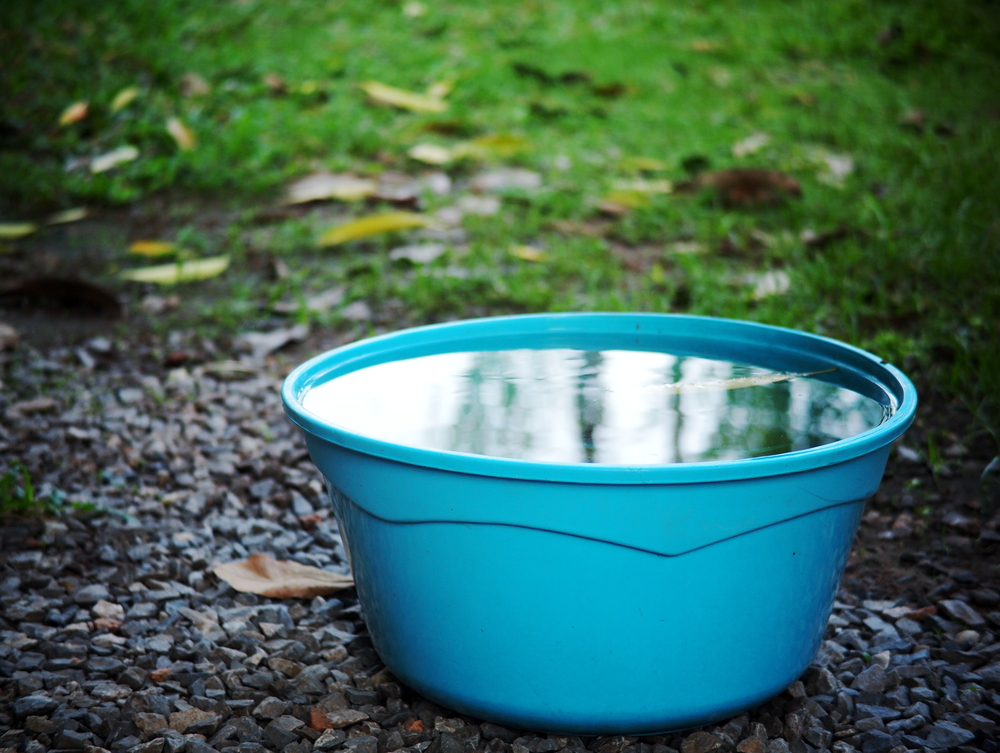 Teplota vody (Zdroj: Chonlawut / Shutterstock.com)